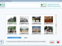 Data Recovery Digital Pictures