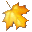 Maple Icon