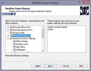 BackRex Expert Backup