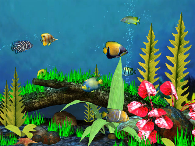 Fish Aquarium 3D Screensaver