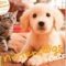 Nintendogs + Cats : Golden Retriever & ses nouveaux amis