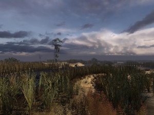 images/articles/article4299/002.jpg images/articles/article4299/002.jpg