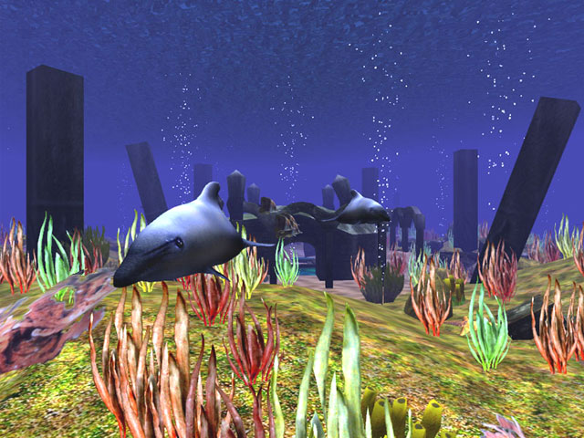 3D Wild Dolphin Screensaver