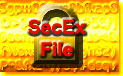 SecExFile Home Icon