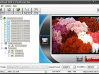 DVD to iPod Converter Tool