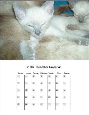 Free Calendar Software