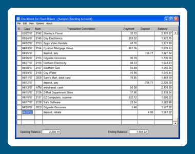 Checkbook for Flash Drives