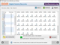 Recover Digital Camera Images