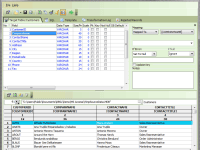 Visual Importer ETL Standard 32 Bit