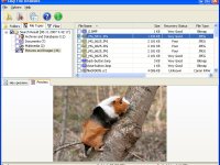 Easy File Undelete