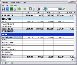 Actual Personal Budget - Lite