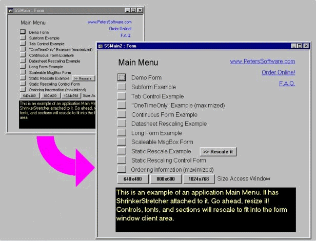 ShrinkerStretcher for MS Access 2000