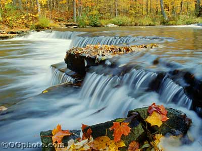 Autumn Screen Saver and Wallpaper