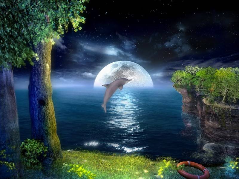 3D Jumping Dolphins Screensaver