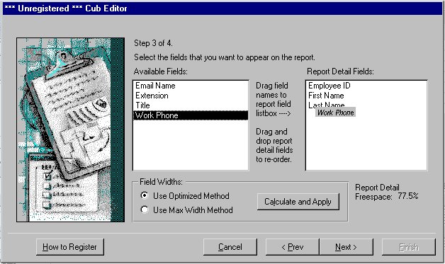 Cub Editor for MS Access 97