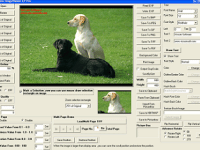 Viscomsoft Image Viewer CP Pro SDK 