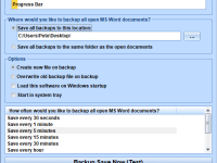 MS Word Backup File Auto Save Software