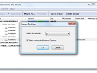 Partition Find and Mount