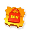 Rebex SSH Pack