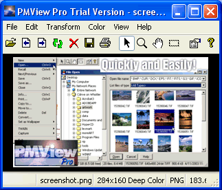 PMView Pro