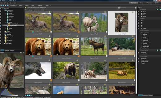 ACDSee Pro Photo Manager