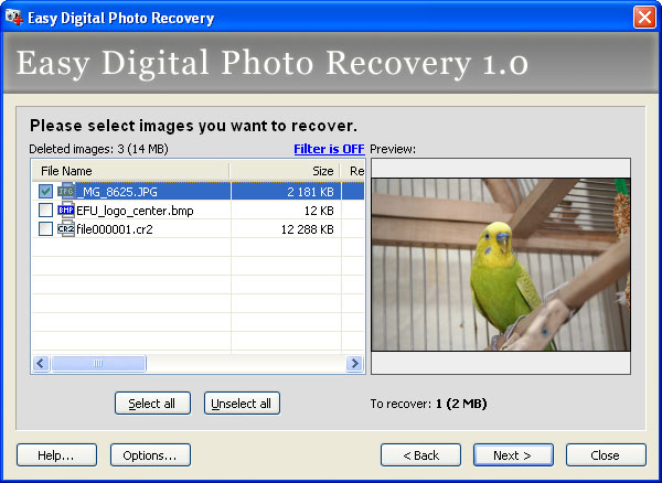 Easy Digital Photo Recovery