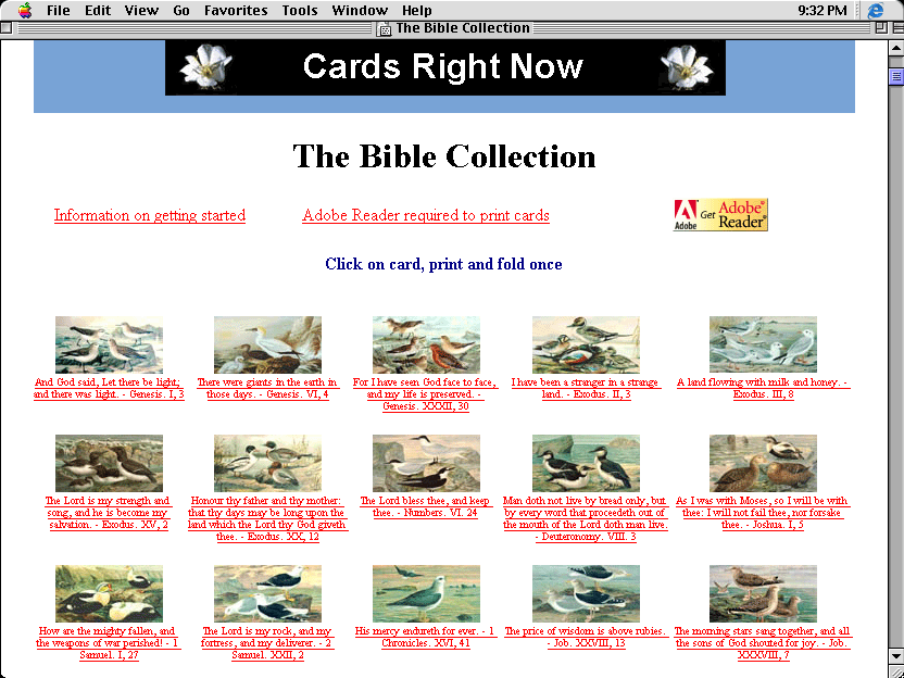 The Bible Collection